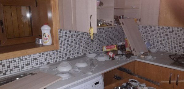 Rize'de aç kalan ayılar yayla evlerini talan etti. Foto Haber 4