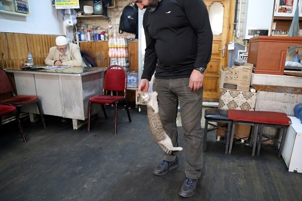 Çay ocağını yuva belleyen kediler müşterilerin maskotu oldu. Foto Haber 4