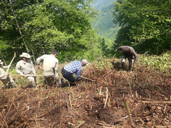Gümüşhane 'de ormanda bulunan kafatası kemiklerin arkasından cinayet iddiası. Foto Haber 9