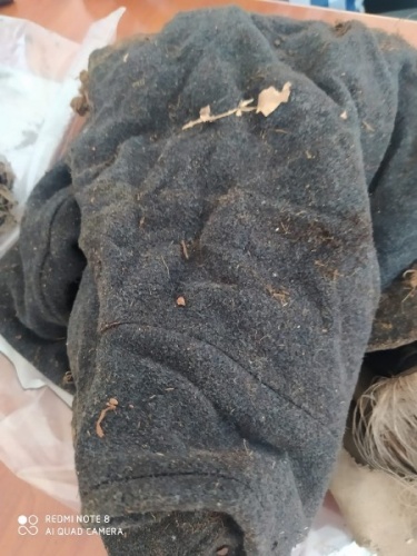 Gümüşhane 'de ormanda bulunan kafatası kemiklerin arkasından cinayet iddiası. Foto Haber 11