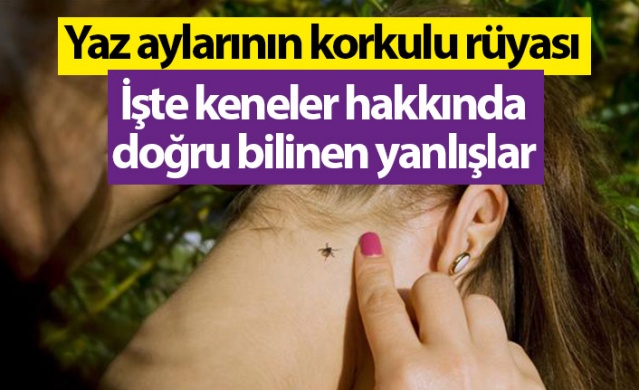 Yaz aylarının korkulu rüyası! Keneler hakkında doğru bilinen yanlışlar. Foto Haber 1