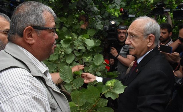 Kemal Kılıçdaroğlu Ordu'da: Fındık stratejik ürün olarak kabul edilmeli. Foto Haber 1