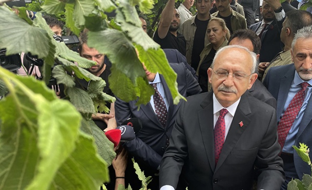 Kemal Kılıçdaroğlu Ordu'da: Fındık stratejik ürün olarak kabul edilmeli. Foto Haber 11