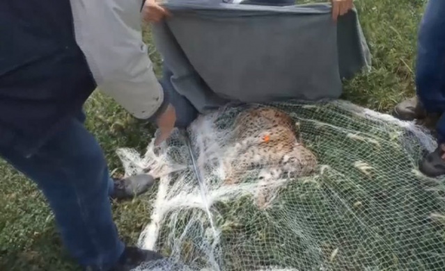 Kümesteki tavuklar tehlikeden son anda kurtuldu. Foto Haber 3