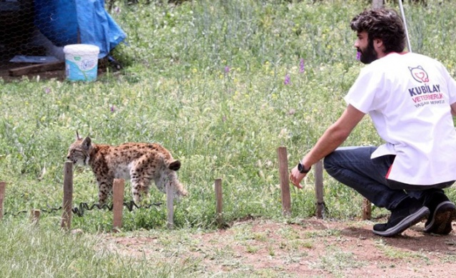 Kümesteki tavuklar tehlikeden son anda kurtuldu. Foto Haber 6