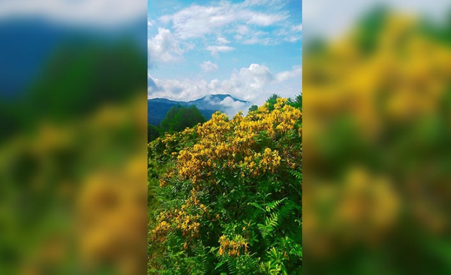 Trabzon yaylalarından muhteşem görüntüler. Foto Galeri 8
