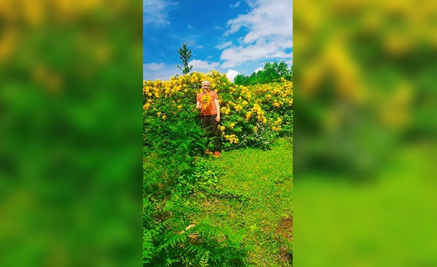 Trabzon yaylalarından muhteşem görüntüler. Foto Galeri 11