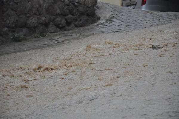 Gümüşhane'yi sağanak vurdu. Foto Haber 3