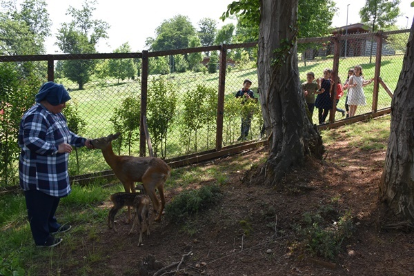 Trabzon'da "Bordo" ile "Mavi" botanik parkın maskotu oldu. Foto Galeri 3