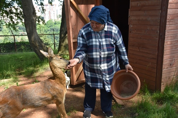 Trabzon'da "Bordo" ile "Mavi" botanik parkın maskotu oldu. Foto Galeri 15