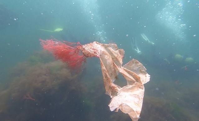 Karadeniz'de 15 farklı plastik türü tespit edildi. 20 Haziran 2022 Foto Haber 5