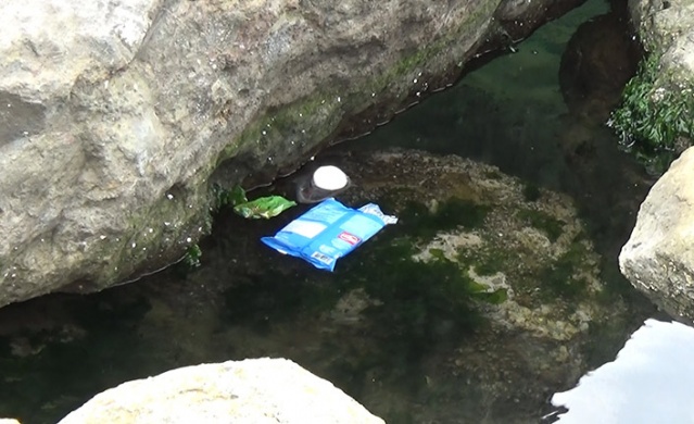 Karadeniz'de 15 farklı plastik türü tespit edildi. 20 Haziran 2022 Foto Haber 12