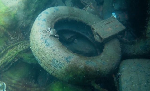 Karadeniz'de 15 farklı plastik türü tespit edildi. 20 Haziran 2022 Foto Haber 13