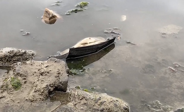 Karadeniz'de 15 farklı plastik türü tespit edildi. 20 Haziran 2022 Foto Haber 8