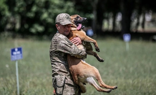TSK'nın cesur keşif köpekleri. Foto Haber 4
