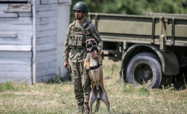 TSK'nın cesur keşif köpekleri. Foto Haber 6