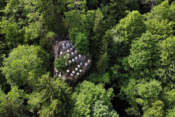 Gümüşhane'de asırlardır zor şartlarda üretip ilaç niyetine kullanıyorlar. Foto Haber 4