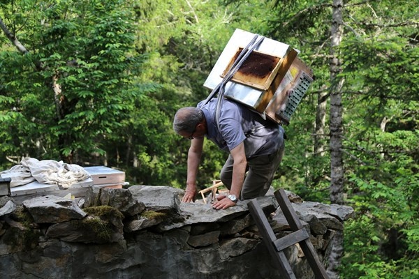 Gümüşhane'de asırlardır zor şartlarda üretip ilaç niyetine kullanıyorlar. Foto Haber 3