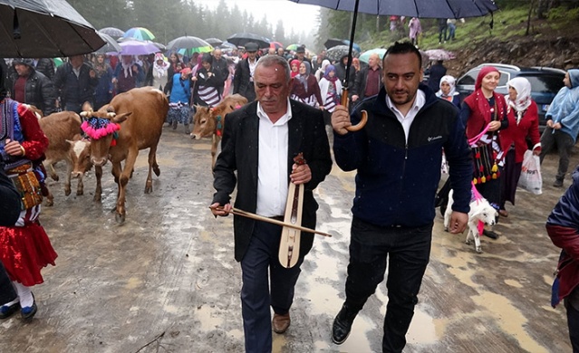 Trabzon'da renkli yayla göçü başladı! 2