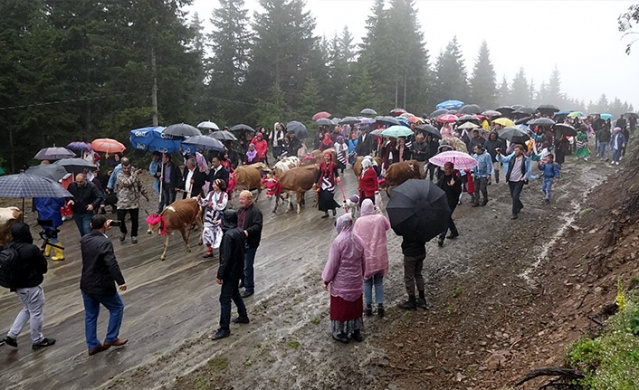 Trabzon'da renkli yayla göçü başladı! 6