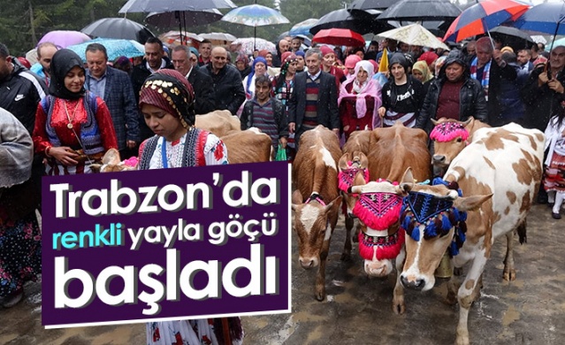 Trabzon'da renkli yayla göçü başladı! 1