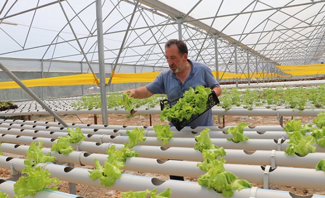 Trabzonlu mühendis kuzenler sermayesiz girdikleri işte taleplere yetişemiyor! 4