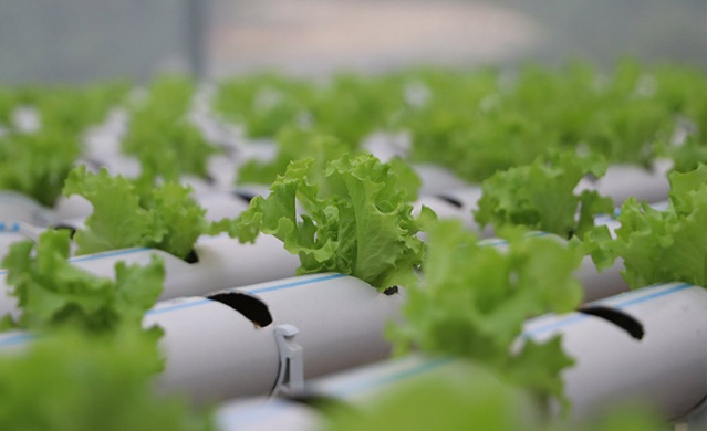 Trabzonlu mühendis kuzenler sermayesiz girdikleri işte taleplere yetişemiyor! 6