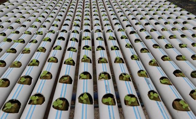 Trabzonlu mühendis kuzenler sermayesiz girdikleri işte taleplere yetişemiyor! 7