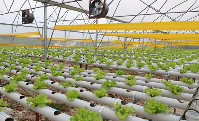 Trabzonlu mühendis kuzenler sermayesiz girdikleri işte taleplere yetişemiyor! 12