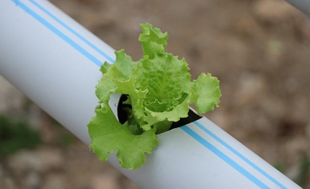 Trabzonlu mühendis kuzenler sermayesiz girdikleri işte taleplere yetişemiyor! 5