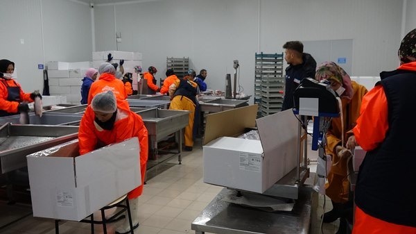 Trabzon'da dağı tıraşlayıp, zirveye OSB kurdular.Foto Haber 8