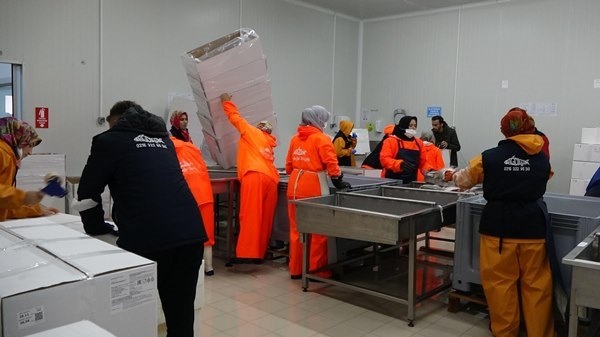 Trabzon'da dağı tıraşlayıp, zirveye OSB kurdular.Foto Haber 13