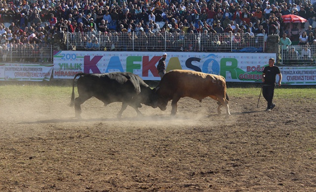 "41. Kafkasör Kültür, Turizm ve Sanat Festivali" sona erdi 14