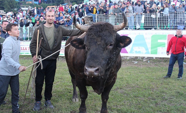 "41. Kafkasör Kültür, Turizm ve Sanat Festivali" sona erdi 7