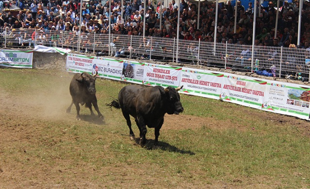 "41. Kafkasör Kültür, Turizm ve Sanat Festivali" sona erdi 13