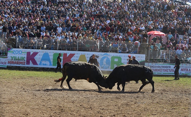 "41. Kafkasör Kültür, Turizm ve Sanat Festivali" sona erdi 11