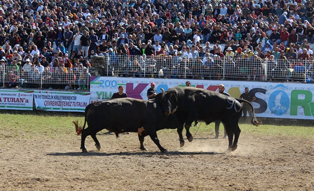 "41. Kafkasör Kültür, Turizm ve Sanat Festivali" sona erdi 12