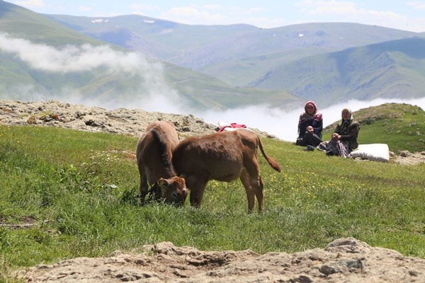 Yaylaların Güneş Duası ‘Guza Guza’ geleneği sürdürülüyor. Foto Haber 7