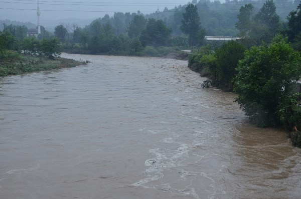 Doğu Karadeniz'i sağanak vurdu! 2 iş yerini ve 10 evi su bastı. Foto Haber 4