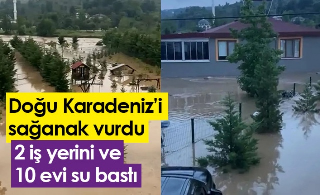 Doğu Karadeniz'i sağanak vurdu! 2 iş yerini ve 10 evi su bastı. Foto Haber 1
