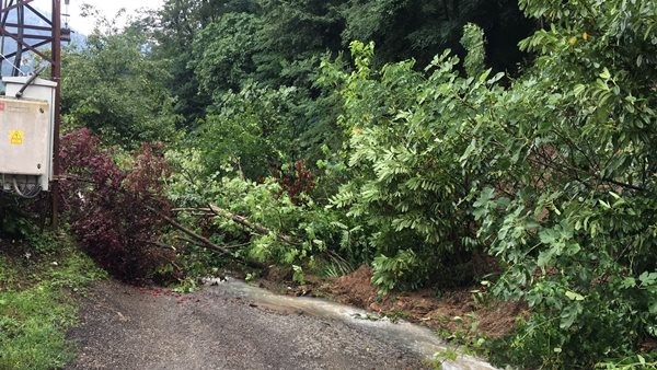 Doğu Karadeniz'i sağanak vurdu! 2 iş yerini ve 10 evi su bastı. Foto Haber 14