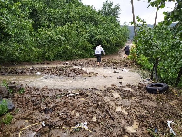Doğu Karadeniz'i sağanak vurdu! 2 iş yerini ve 10 evi su bastı. Foto Haber 16