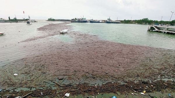 Doğu Karadeniz'i sağanak vurdu! 2 iş yerini ve 10 evi su bastı. Foto Haber 15