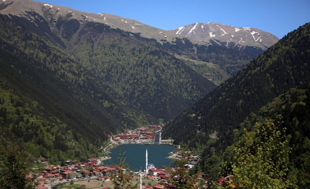 Uzungöl'e turist akını; günlüğü 300 dolara 'bungalov ev' Foto Haber 5