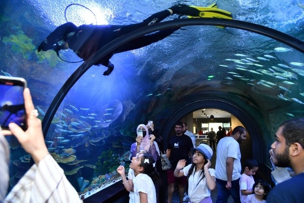 Trabzon Akvaryumu kaç kişi ziyaret etti! Turistler ilgi gösteriyor. Foto Haber 4