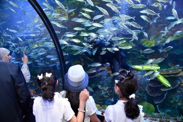 Trabzon Akvaryumu kaç kişi ziyaret etti! Turistler ilgi gösteriyor. Foto Haber 9