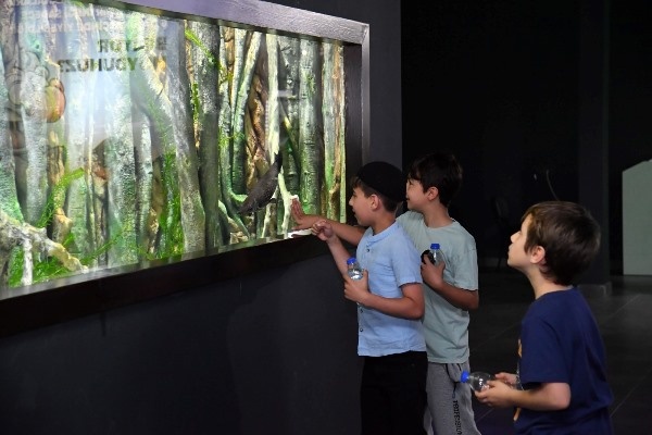 Trabzon Akvaryumu kaç kişi ziyaret etti! Turistler ilgi gösteriyor. Foto Haber 2