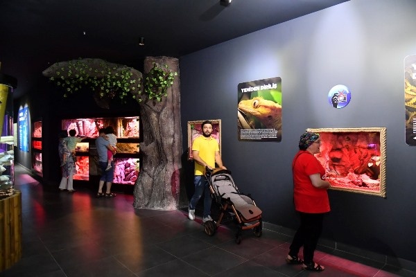 Trabzon Akvaryumu kaç kişi ziyaret etti! Turistler ilgi gösteriyor. Foto Haber 3