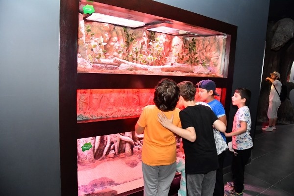 Trabzon Akvaryumu kaç kişi ziyaret etti! Turistler ilgi gösteriyor. Foto Haber 5