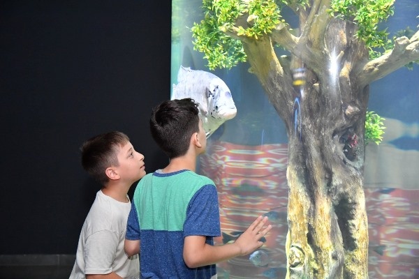 Trabzon Akvaryumu kaç kişi ziyaret etti! Turistler ilgi gösteriyor. Foto Haber 6
